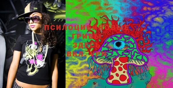 PSILOCYBIN Баксан