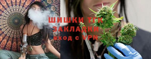 PSILOCYBIN Баксан